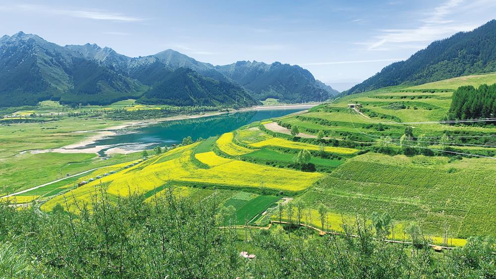 1627173494407097.jpg 1.jpg