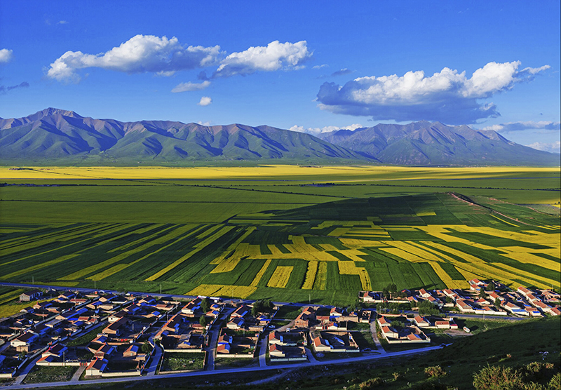 "三色"旅游,助推海北"美丽转身"