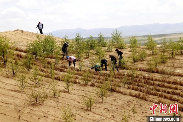 图为贵南县正在治理的黄沙头。(资料图) 马铭言 摄
