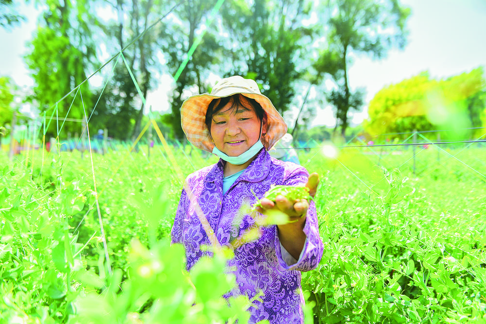 1706148688303043.jpg 2.jpg