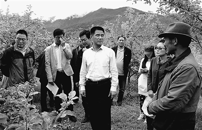 1462412680287270.jpg res07_attpic_brief.jpg