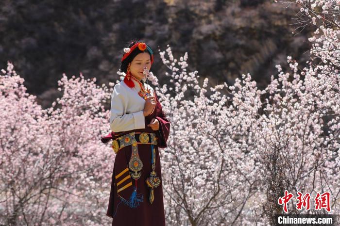 白玉县河坡镇桃花林间身穿民族服饰的藏族女孩。　白玉融媒 摄