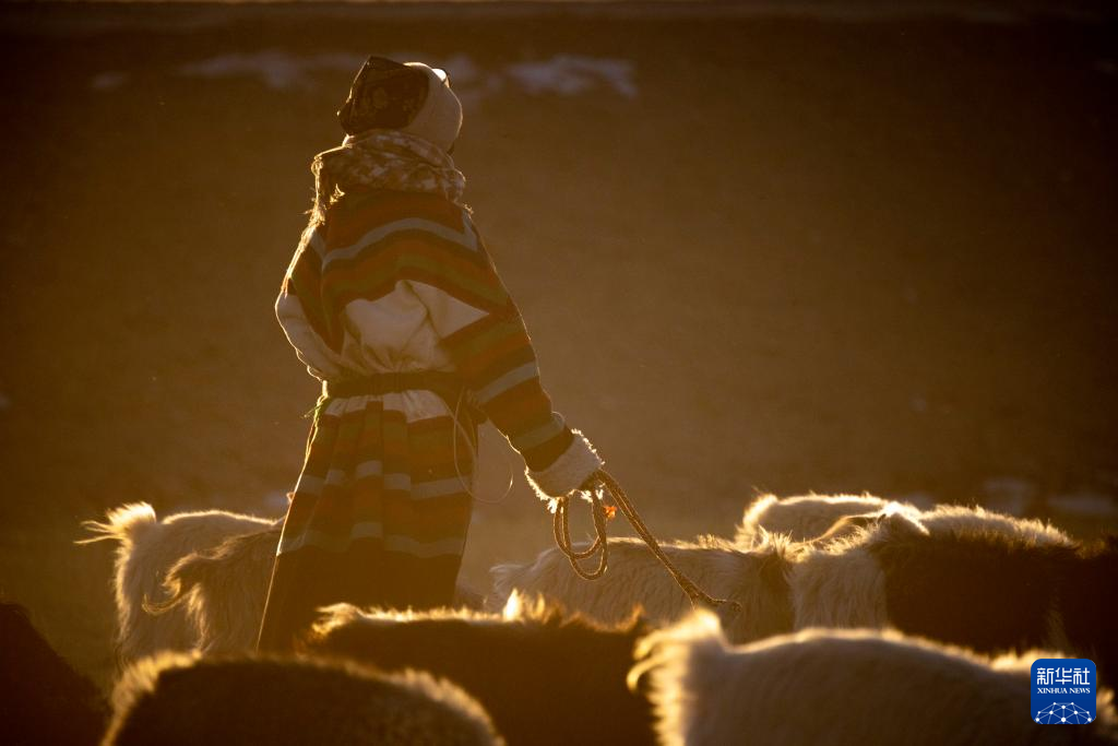 中国故事穿越草场和新镇的高原牧歌