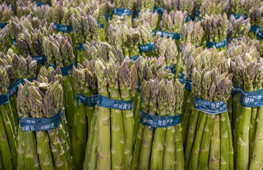 看山南沙里淘金