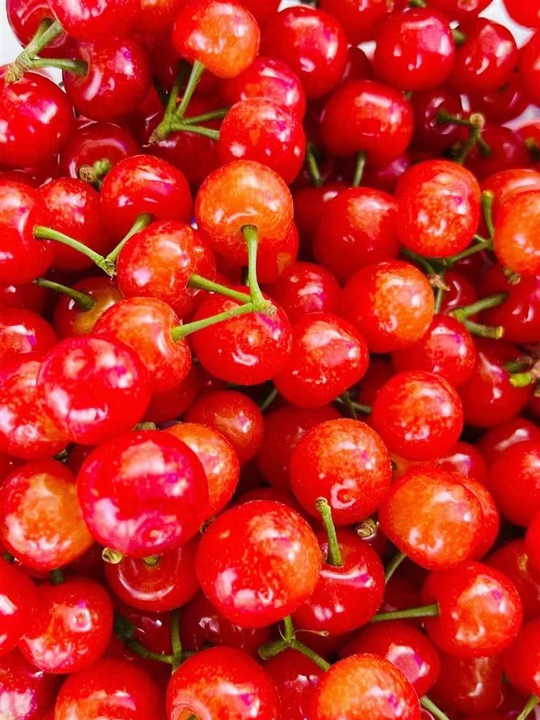 春来第一果上市挑选新鲜樱桃有技巧