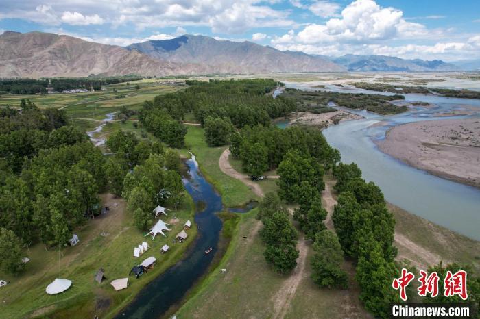 8月11日,人们在拉萨市林周县神秘树林搭帐篷"过林卡".