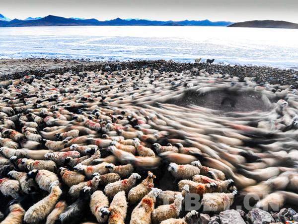 1510796751277794.jpg 6.jpg