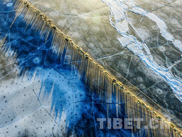 1510796769204271.jpg 8.jpg