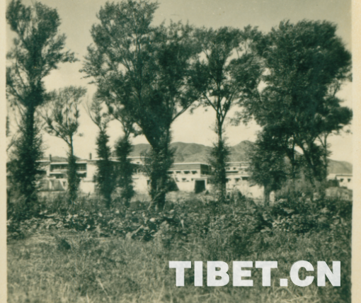 1524445086471419.png 1.png