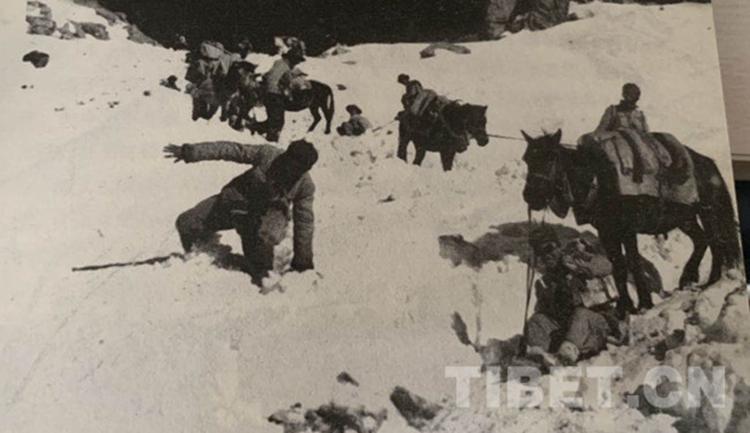 1556071792528612.jpg 5.jpg