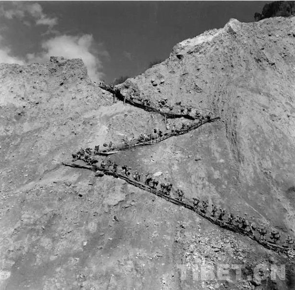 1557129727648594.png 2.png