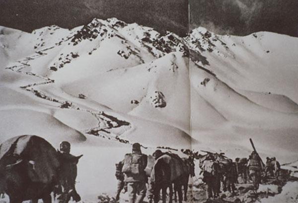 1557129917174577.jpg 5.jpg