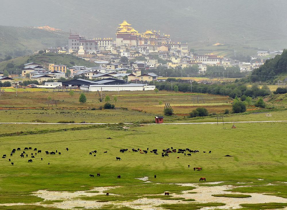 1559118657103368.jpg 香格里拉噶丹•松赞林寺。张国华 摄DSC_3162_.jpg
